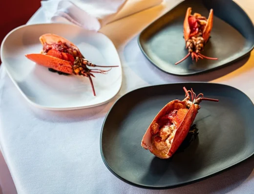 Monte Rovinj – lobster dish